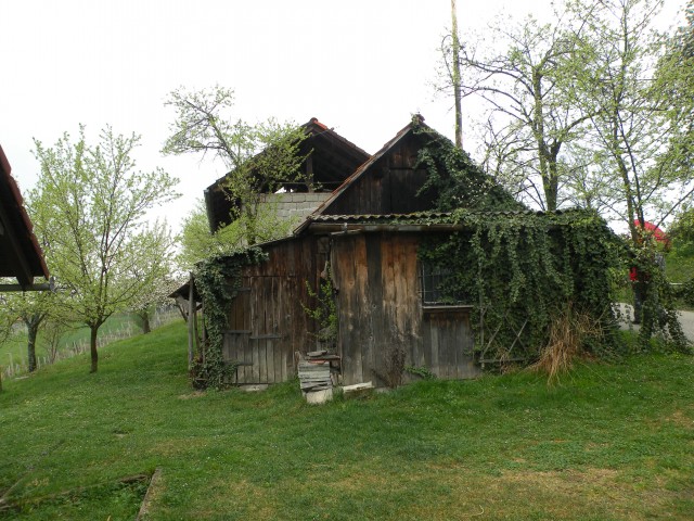17 Bela cerkev - foto