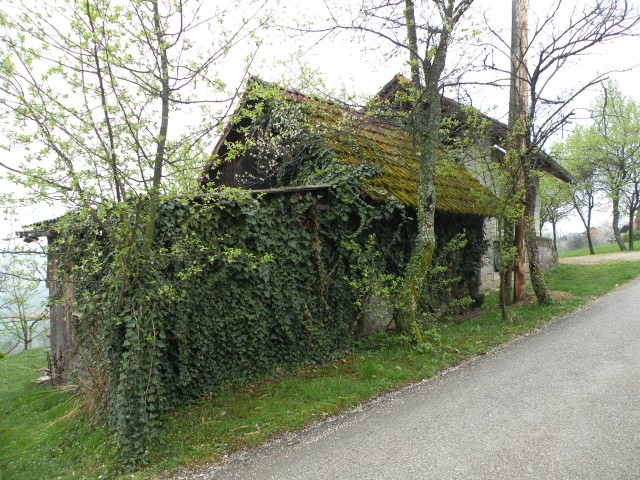 17 Bela cerkev - foto