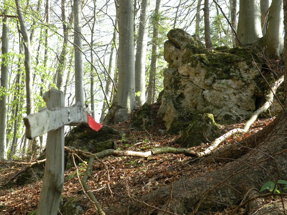 17 Lovrenc in Veliko Kozje - foto povečava