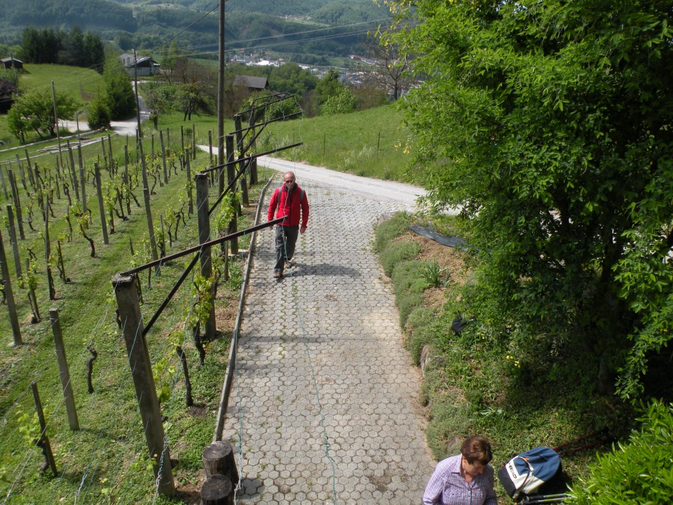 Z Vinkom na Sv. Rok - foto povečava