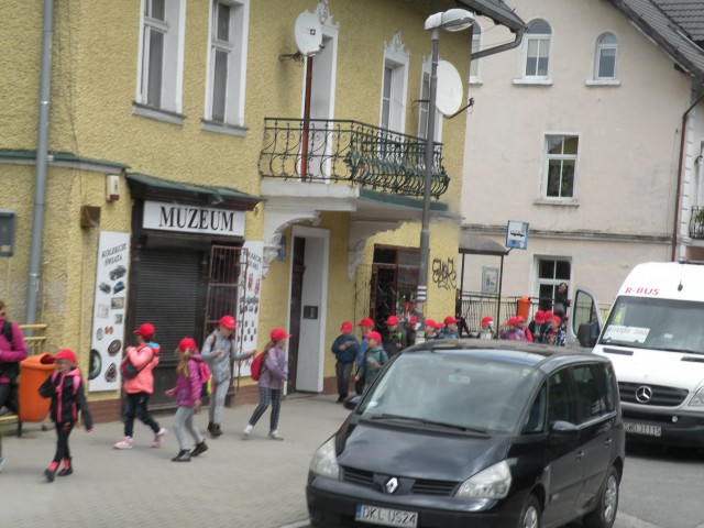 17 Poljska mizaste gore  - foto