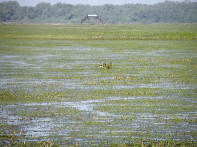 17 Poljska Ujescie Warty - foto