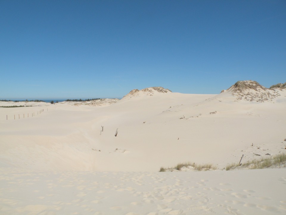 17 Poljska Baltik peščene plaže in sipine - foto povečava