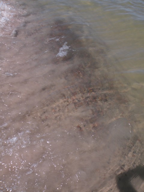 17 Poljska Baltik peščene plaže in sipine - foto