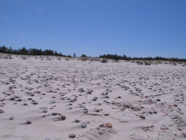 17 Poljska Baltik peščene plaže in sipine - foto