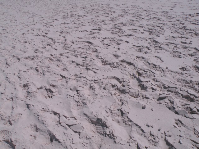 17 Poljska Baltik peščene plaže in sipine - foto