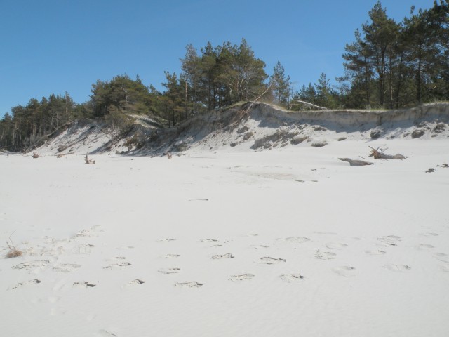 17 Poljska Baltik peščene plaže in sipine - foto