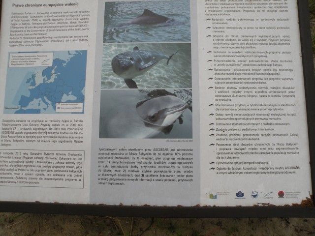 17 Poljska Hel mesto, polotok in mimo Gdanska - foto