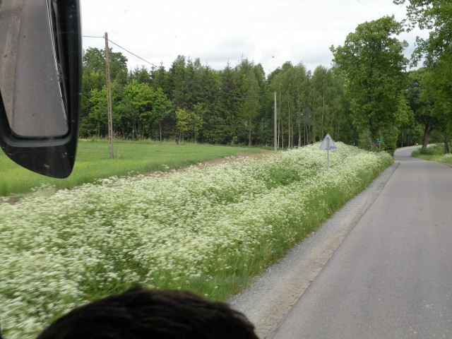 17 Poljska Hel mesto, polotok in mimo Gdanska - foto