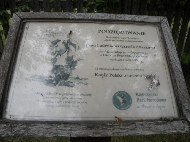 17 poljska Biebrzinski park - foto