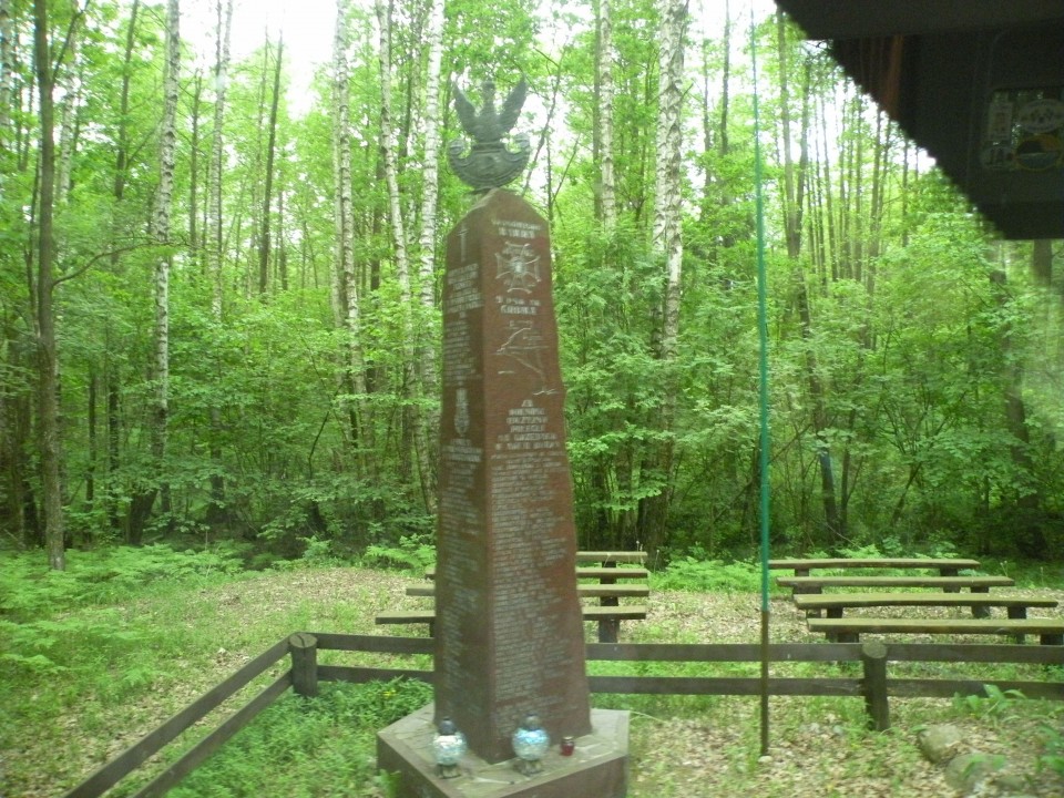 17 poljska Biebrzinski park - foto povečava