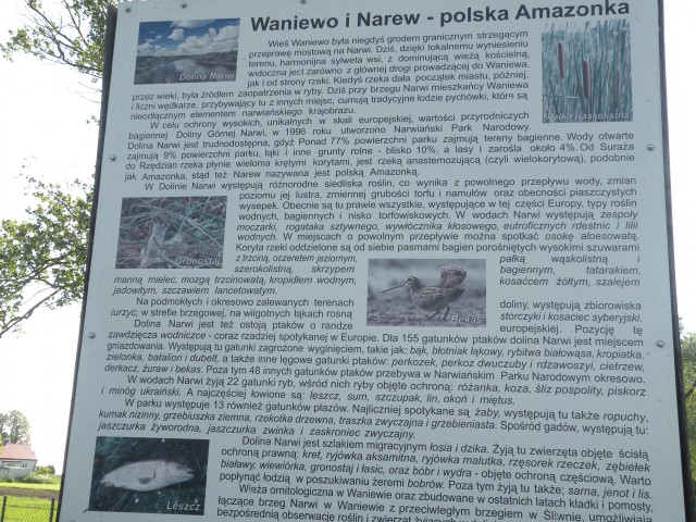 17 poljska Narwianski park - foto