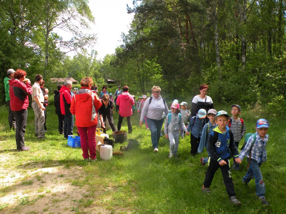 17 Poljska Poleski park - foto povečava