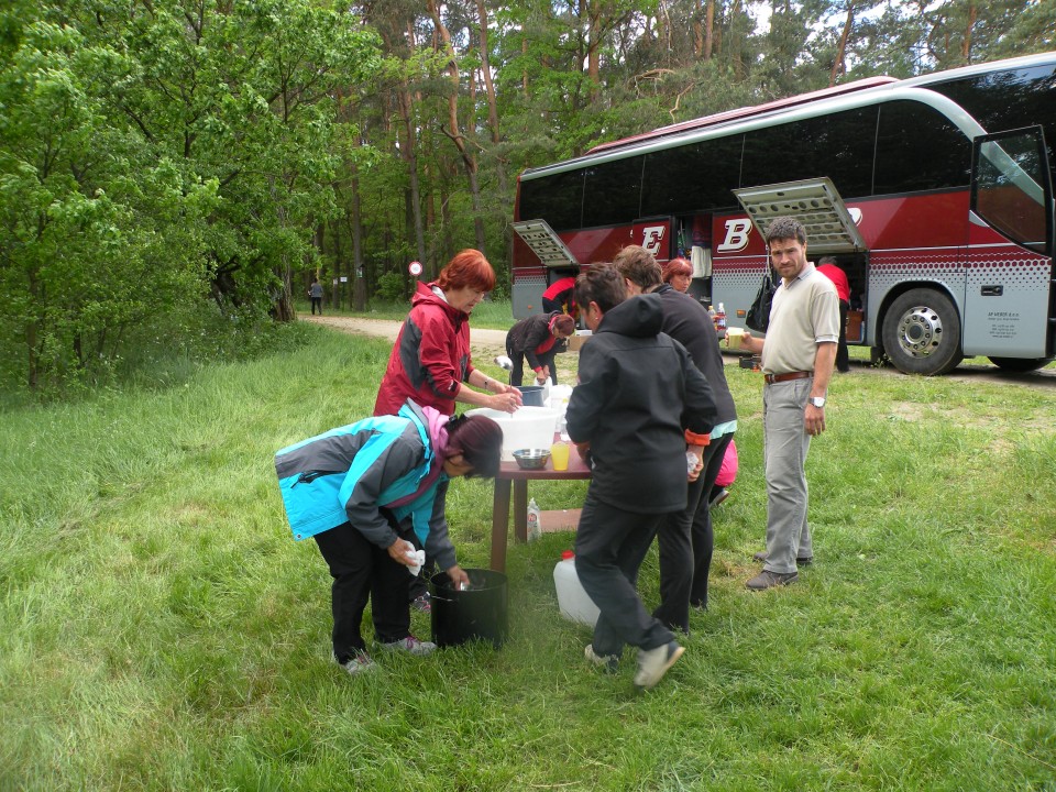 17 Poljska Poleski park - foto povečava