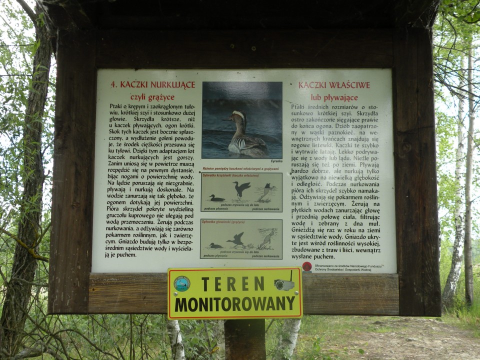 17 Poljska Poleski park - foto povečava