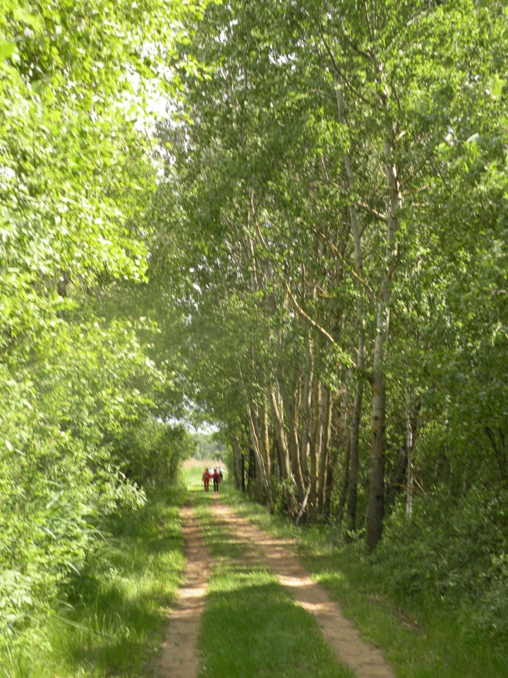 17 Poljska Poleski park - foto povečava