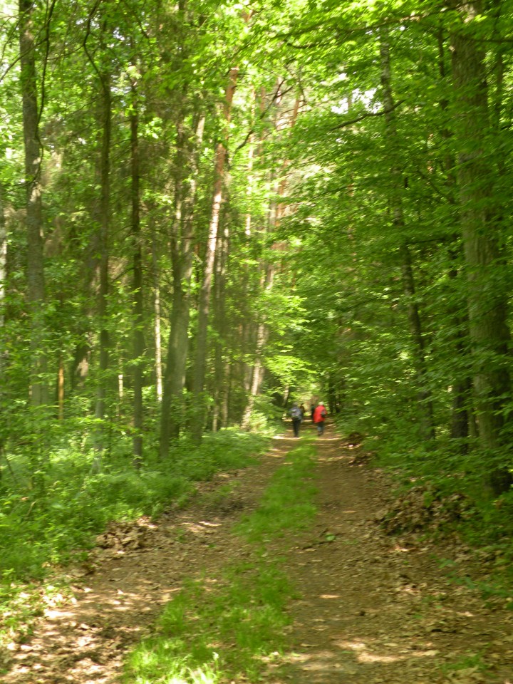 17 Poljska Poleski park - foto povečava