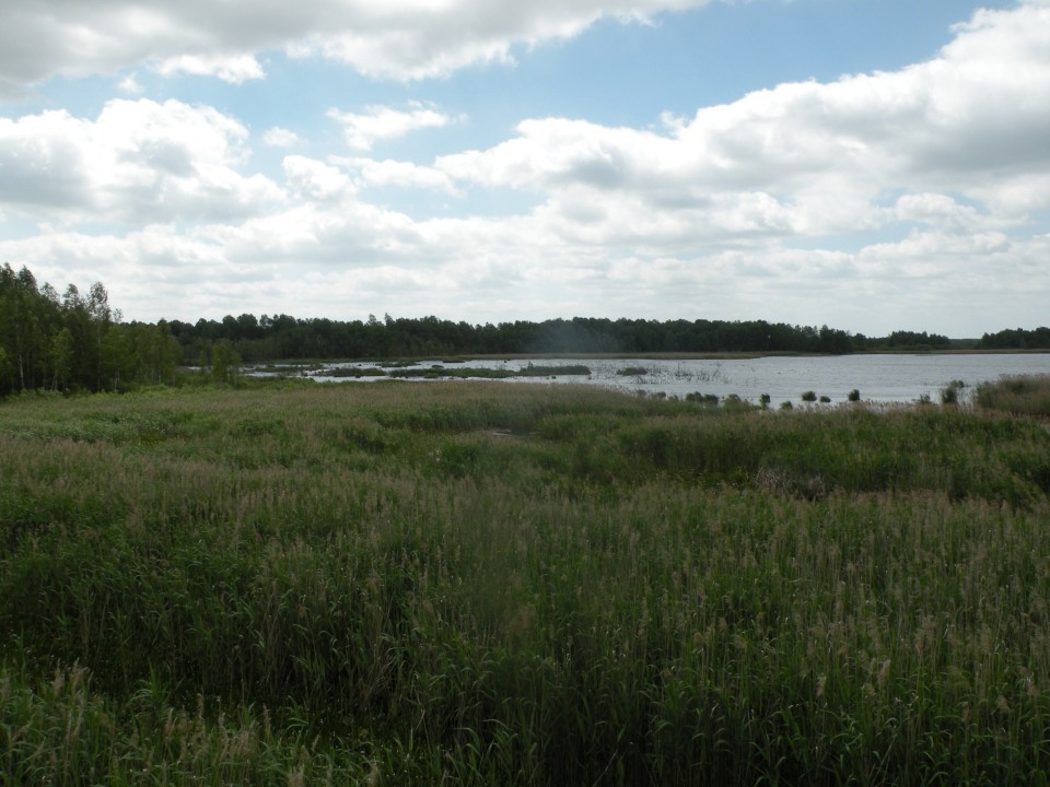 17 Poljska Poleski park - foto povečava