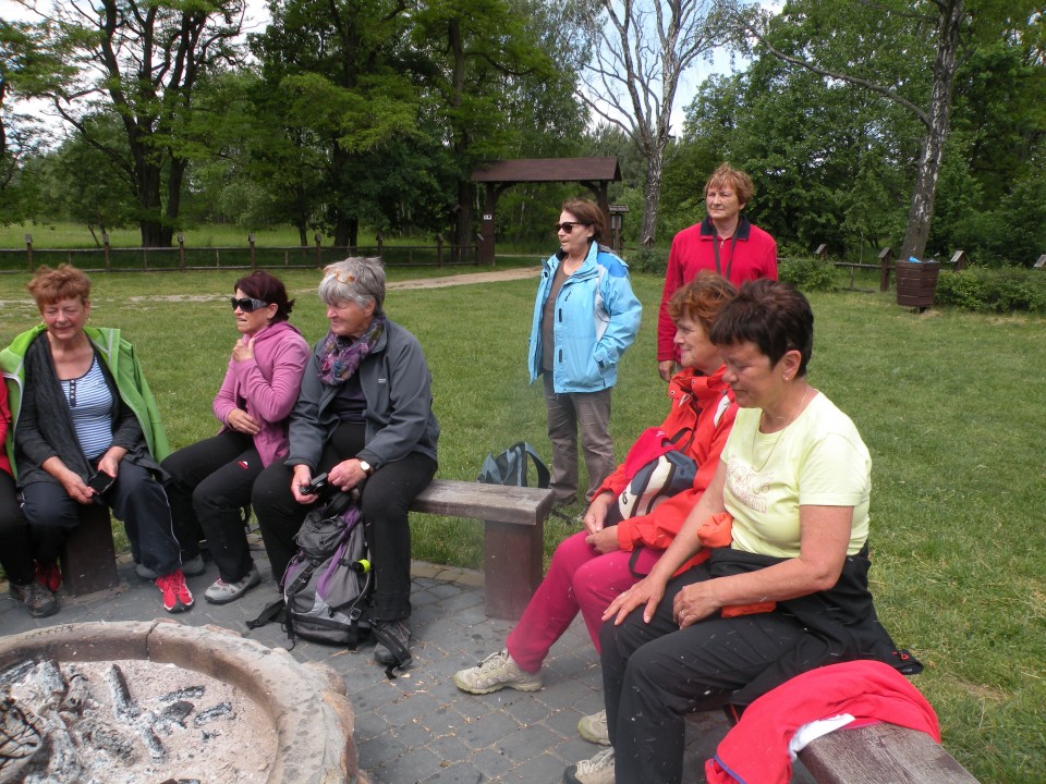 17 Poljska Poleski park - foto povečava