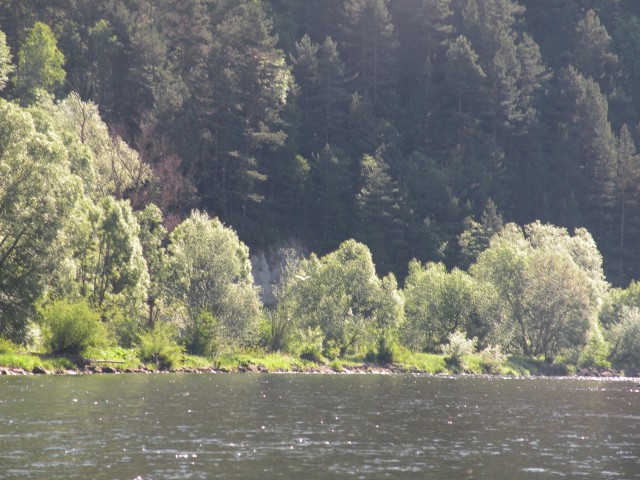 17 Poljska Pieninski park - foto