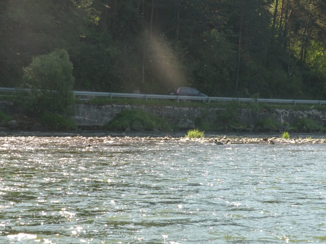 17 Poljska Pieninski park - foto