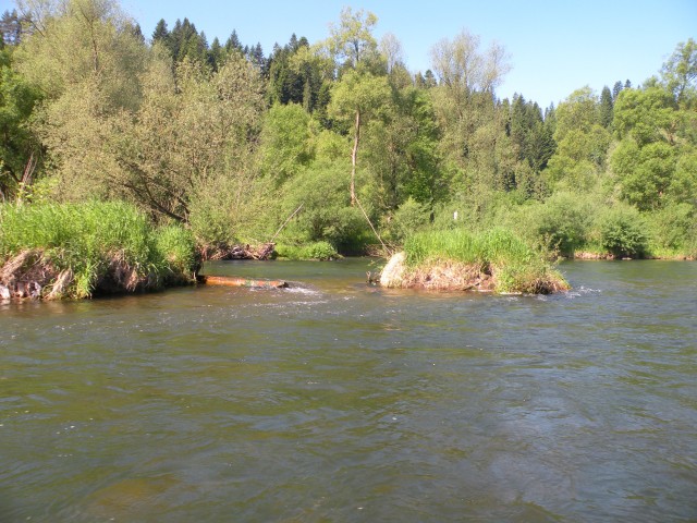 17 Poljska Pieninski park - foto