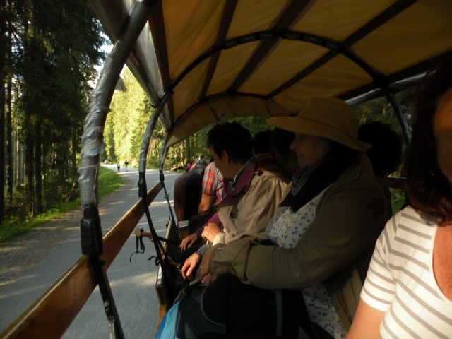 17 poljska Tatrzanski park - foto