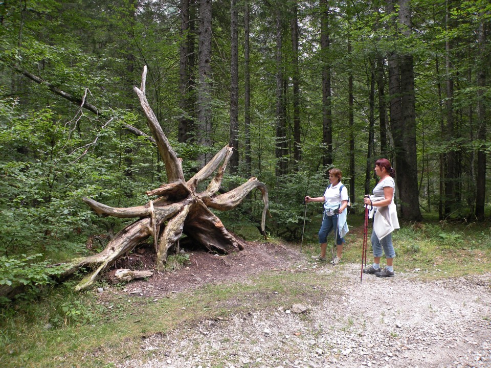 17 Vandrovci Slatna - foto povečava