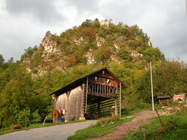 17 Svibno Anina pesem, Arnike - foto