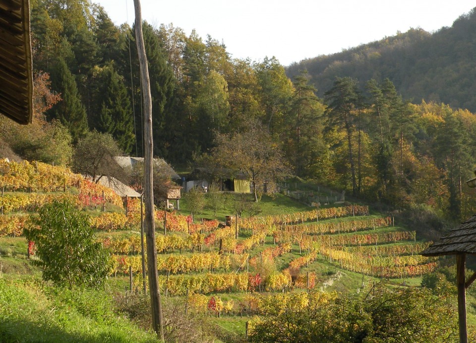 17 NV Ajdov Gradec - foto povečava