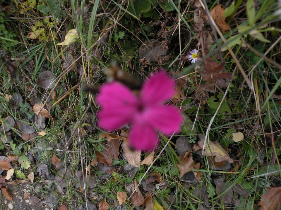 17 Radna, Konjsko - foto povečava