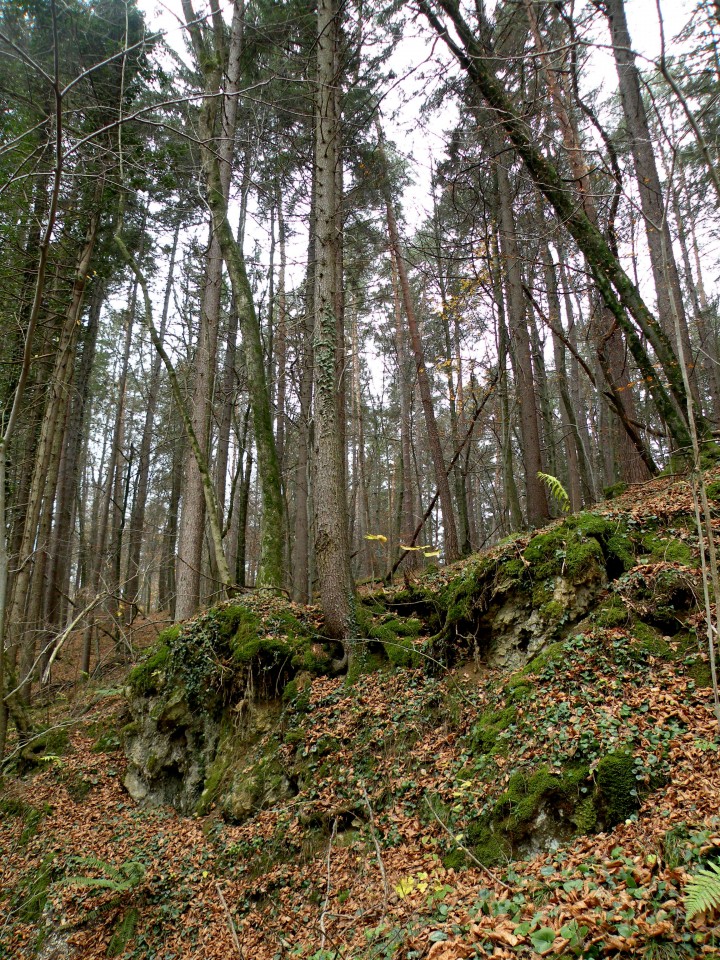 17 Radna, Konjsko - foto povečava