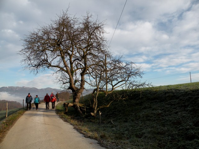 17 Lukovec, Preska - foto