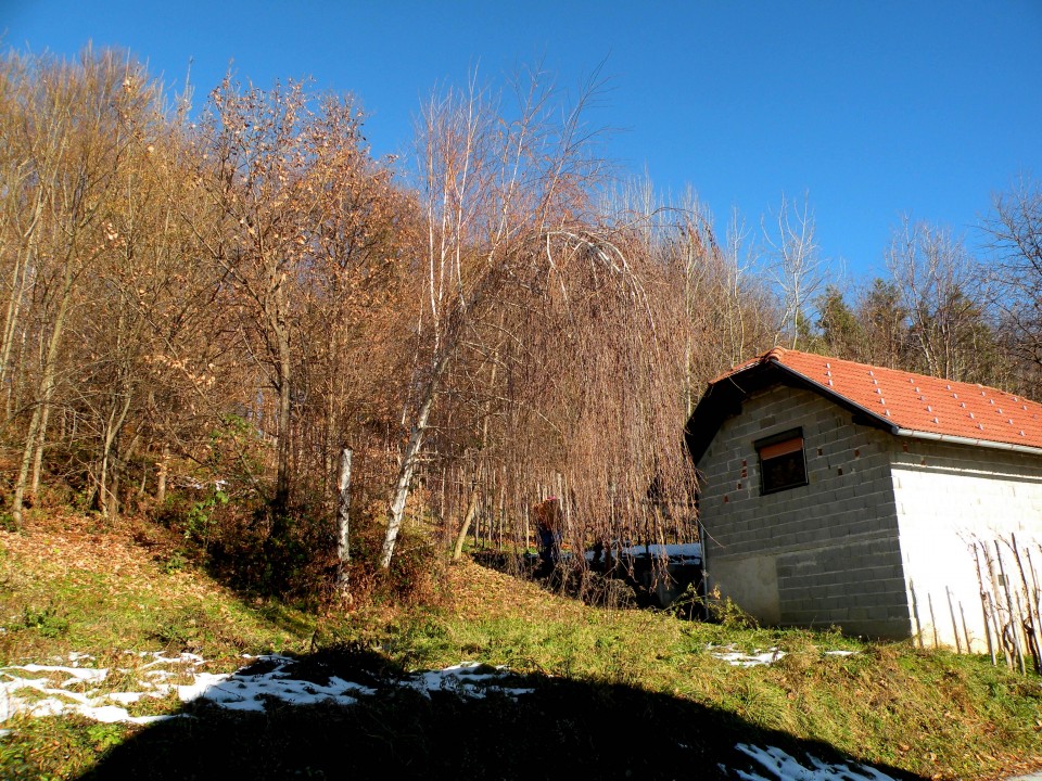 17 Lukovec, Preska - foto povečava