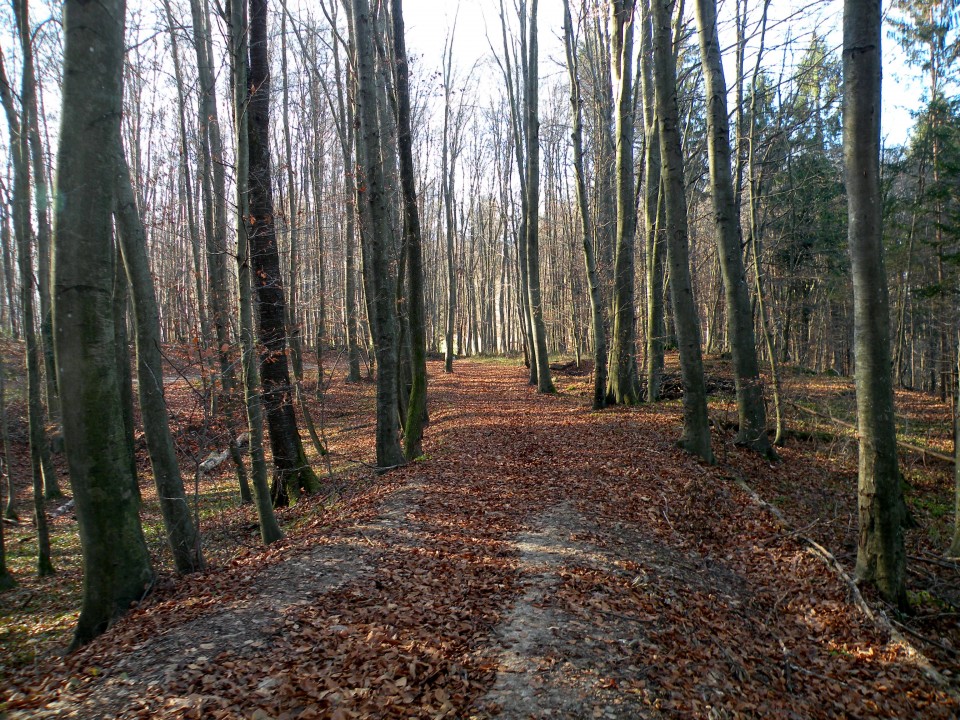 17 Lukovec, Preska - foto povečava