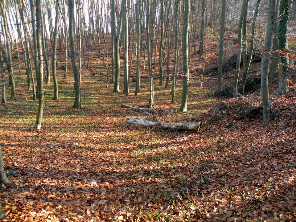 17 Lukovec, Preska - foto povečava