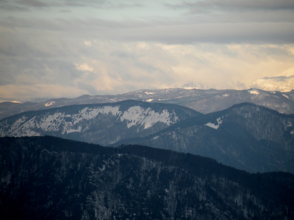 17 NV Lisca, Cirje - foto povečava