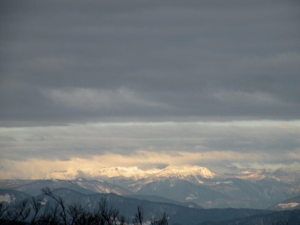 17 NV Lisca, Cirje - foto povečava