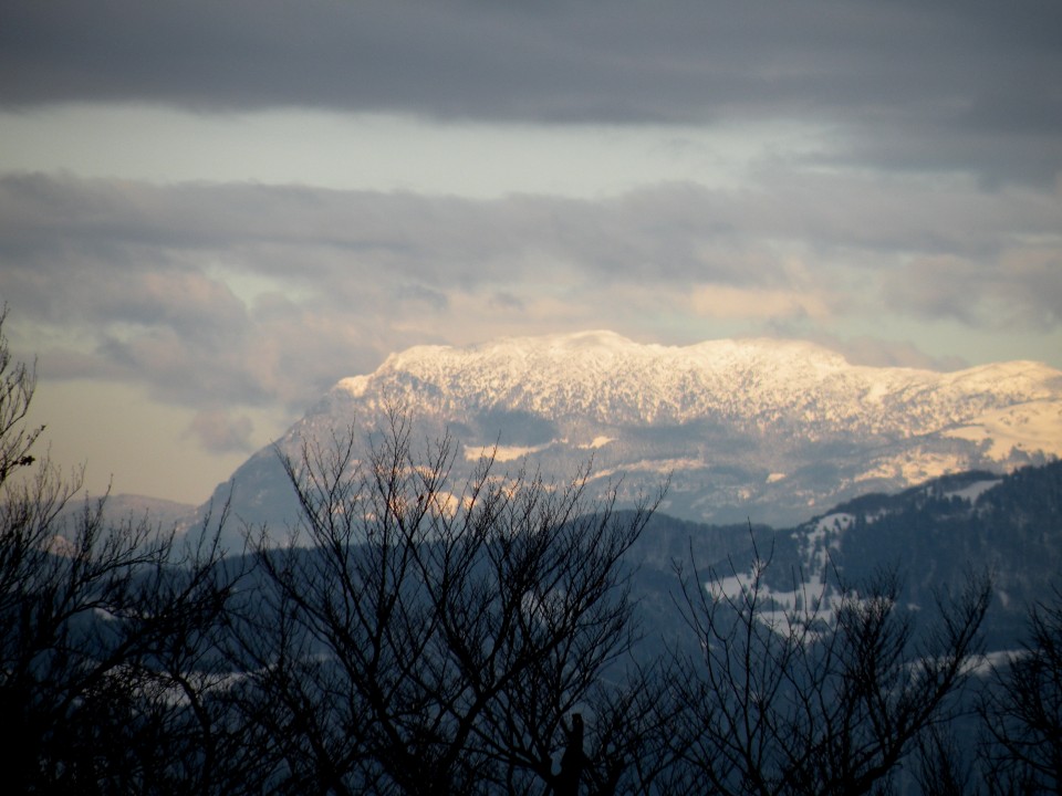 17 NV Lisca, Cirje - foto povečava