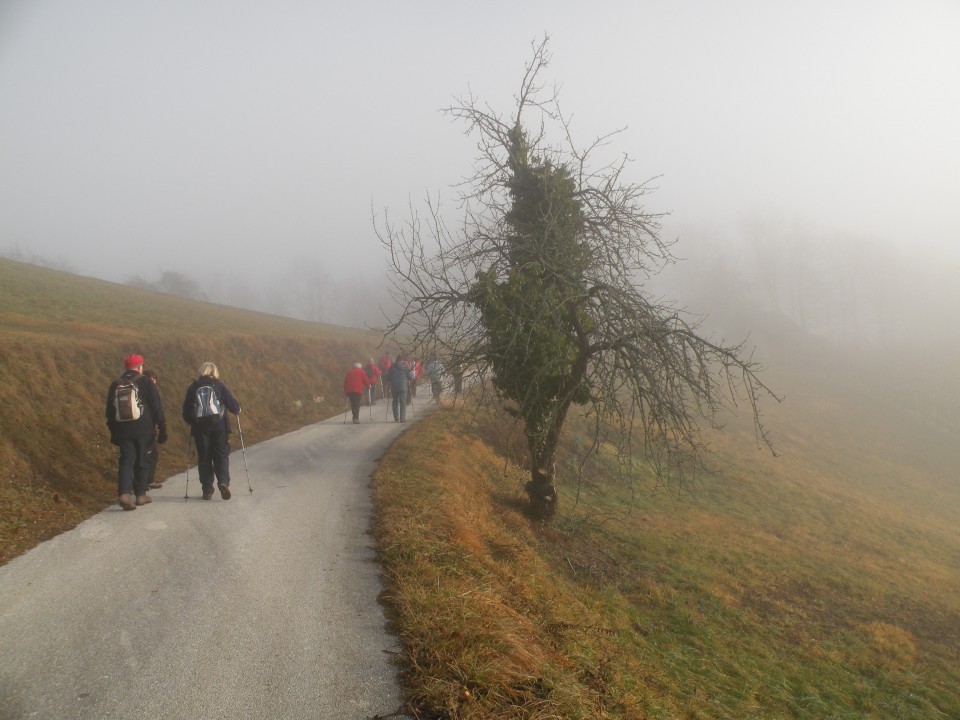 17 Zajčja gora - foto povečava