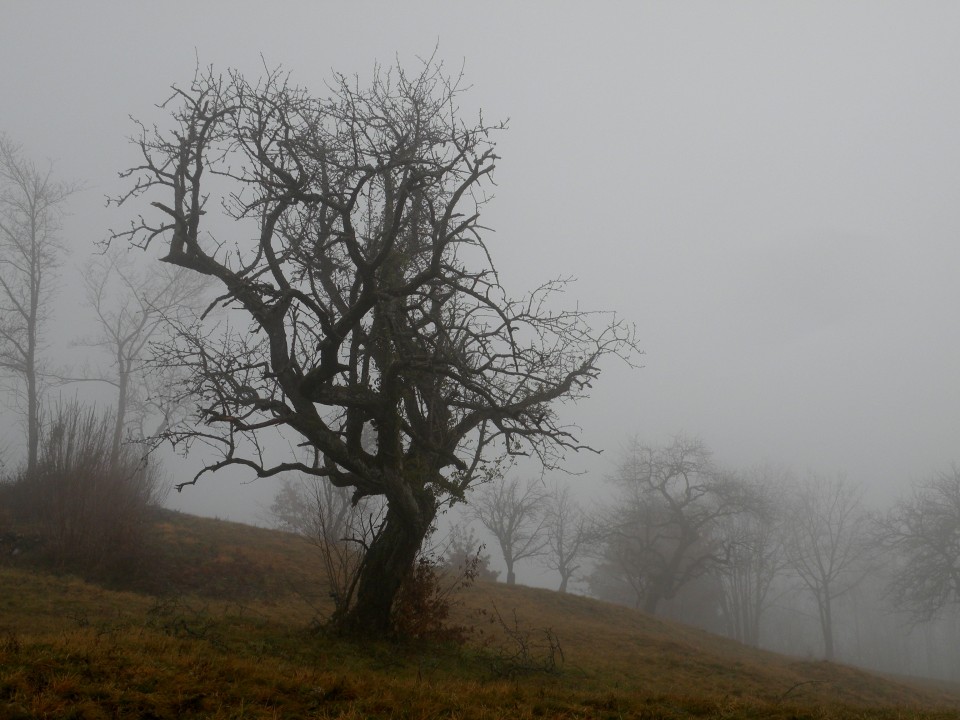 17 Zajčja gora - foto povečava