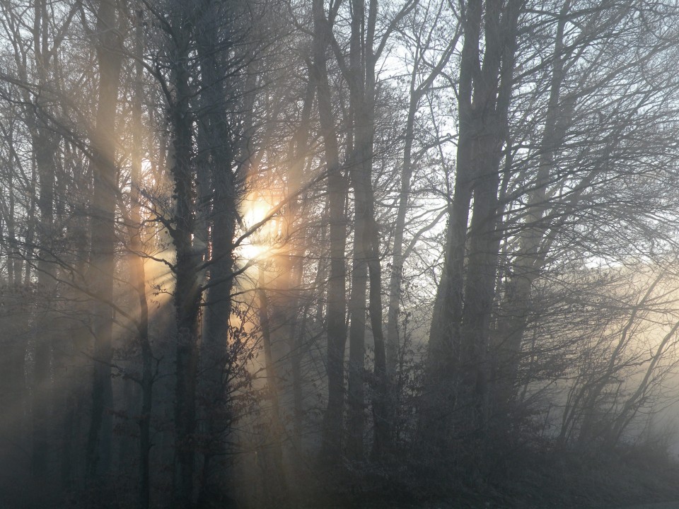 18.1.24. Škovec, Glina jama - foto povečava