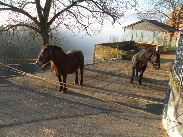 18.1.24. Škovec, Glina jama - foto