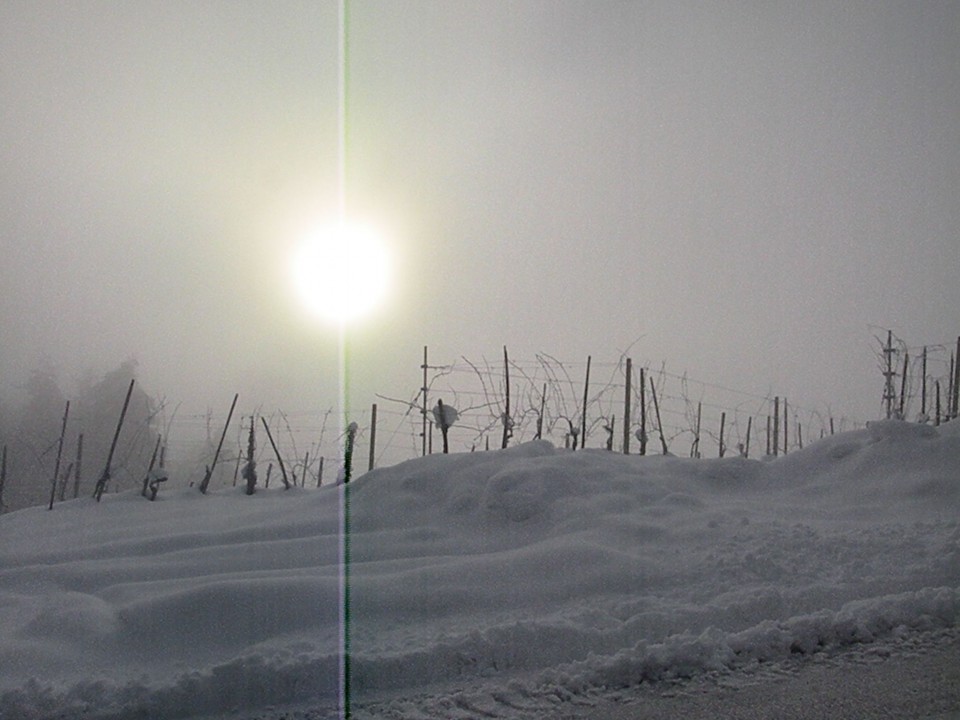 18 Od Dolinška do Brezovice - foto povečava