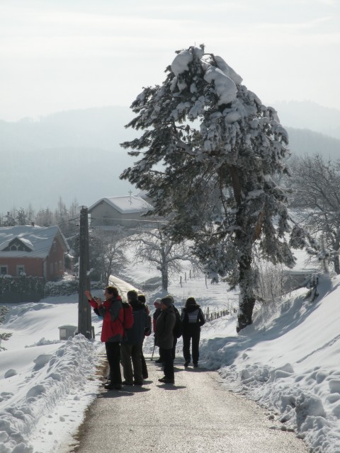 18 Od Dolinška do Brezovice - foto