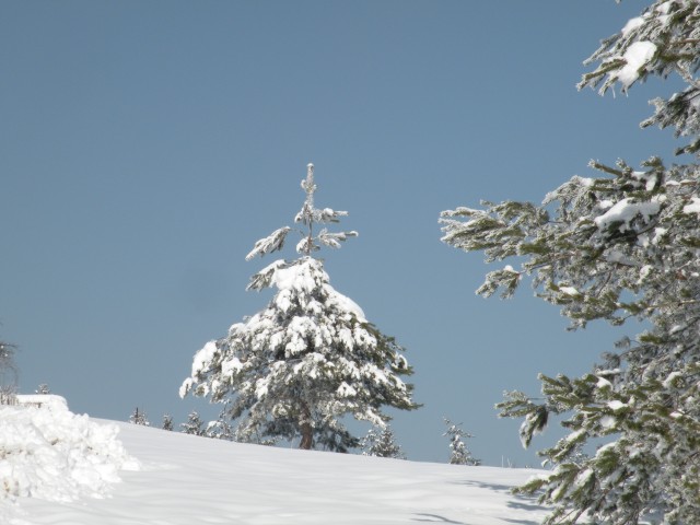 18 Od Dolinška do Brezovice - foto