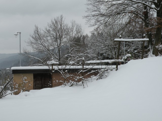 18 zima v februarju - foto