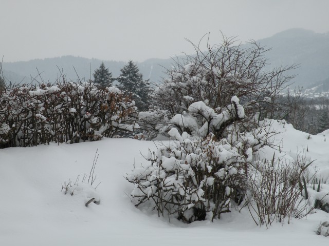 18 zima v februarju - foto