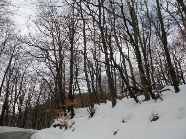 18 NV Konjsko - foto