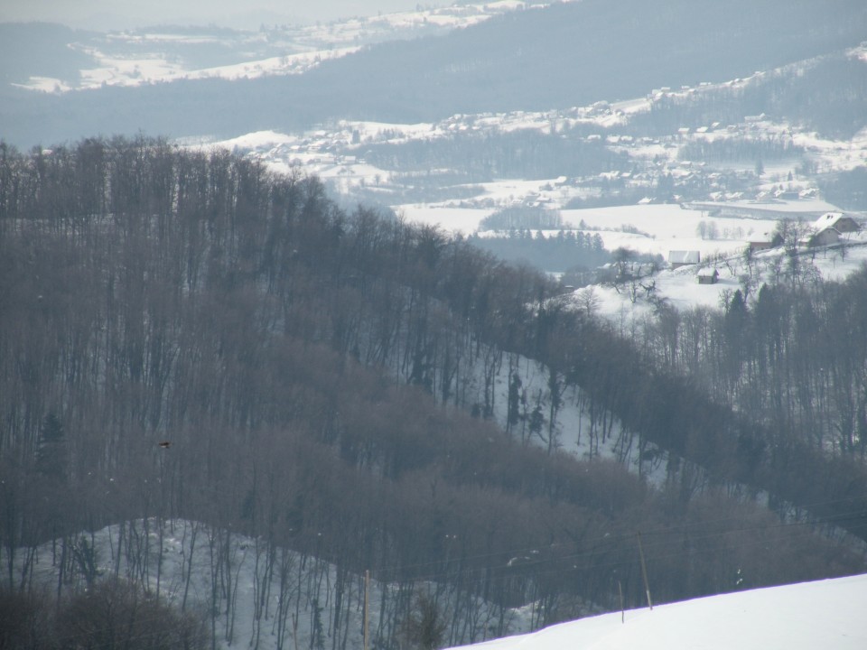 18 NV Konjsko - foto povečava